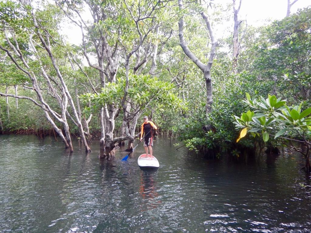 Sau Bay Resort - Off Taveuni Na Sau Bay Zewnętrze zdjęcie