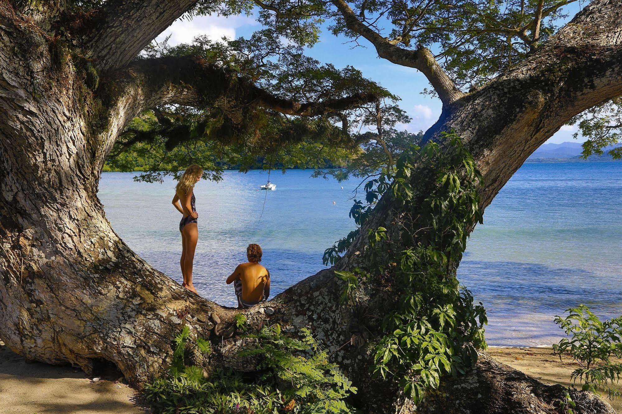 Sau Bay Resort - Off Taveuni Na Sau Bay Zewnętrze zdjęcie